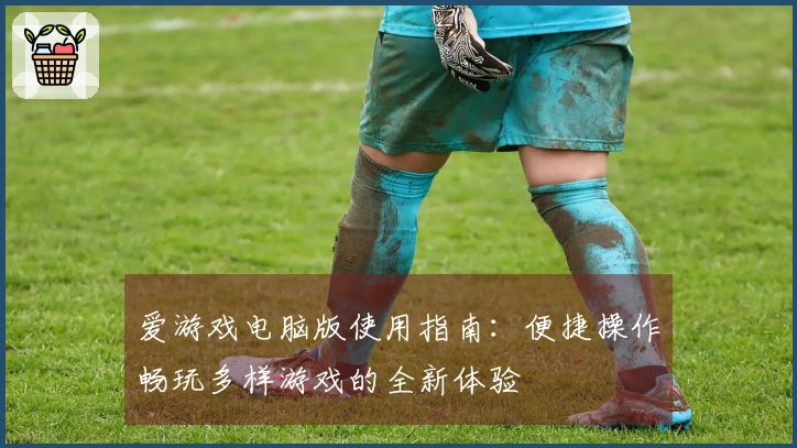 爱游戏电脑版使用指南：便捷操作畅玩多样游戏的全新体验