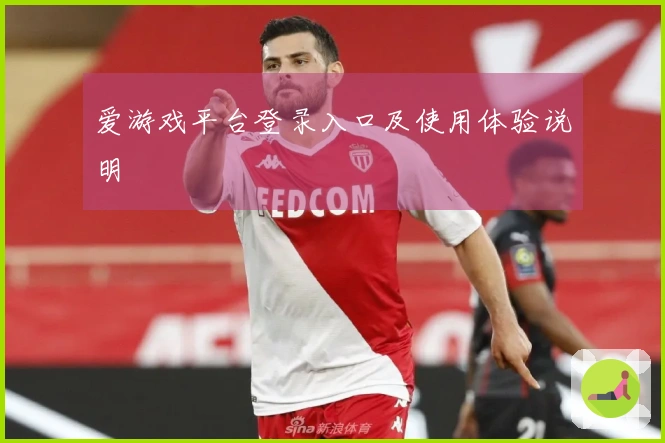 爱游戏平台登录入口及使用体验说明